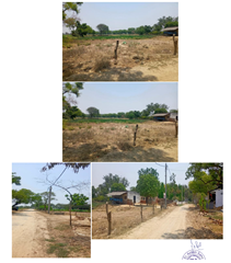 SANKALP TRADING COMPANY-180920251